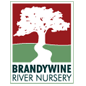 brandywine river nursery
