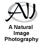 A Natural Image Photography