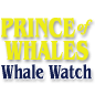 Prince of Whales Whale Watching