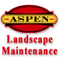Aspen Companies
