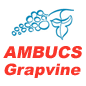 Grapevine Ambucs