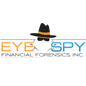 Eye Spy Financial Forensics