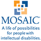 COMORG - MOSAIC Dallas