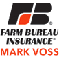 Mark Voss Agency