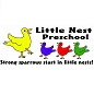 Little Nest Preschool