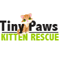 COMORG - Tiny Paws Kitten Rescue