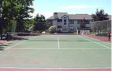 tennis court