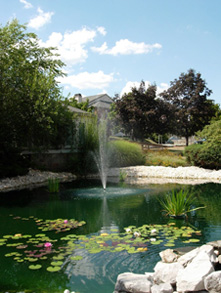 pond