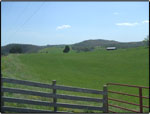 Field