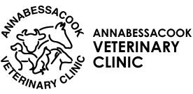 Vet In Monmouth Me Annabessacook Veterinary Clinic